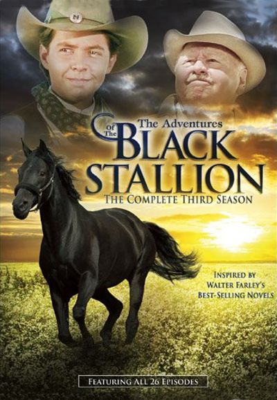 The Black Stallion Movie Watch Online