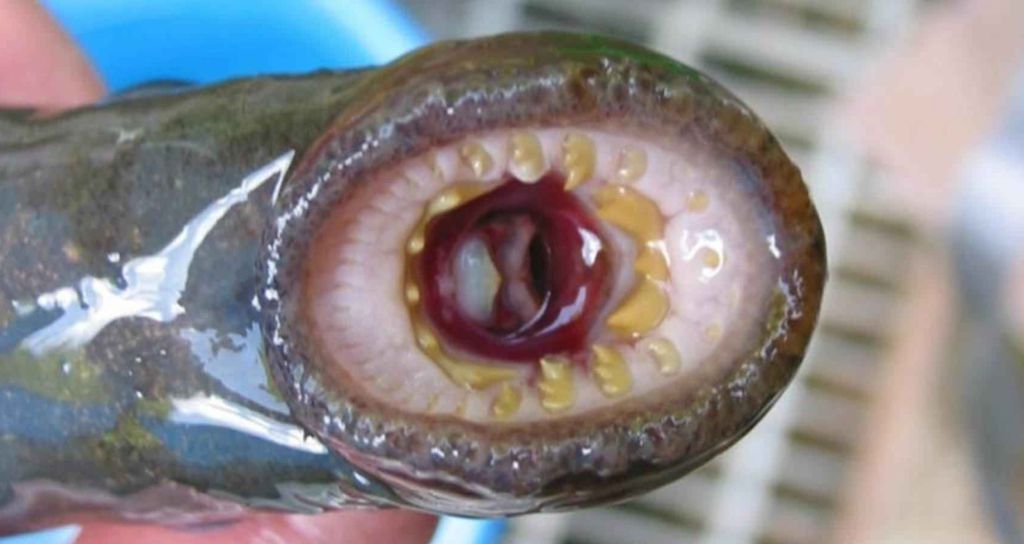 Oncologists Are Freaking Out After True Cause Of Cancer Released