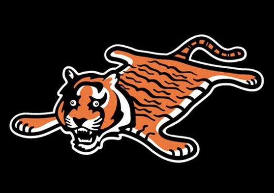 Image result for bengals suck