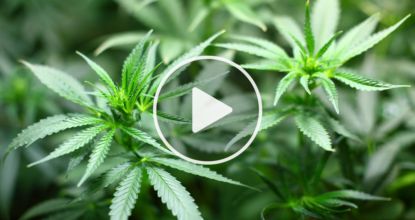 Just A Few Drops Of This "Miracle Medicine" Can Kill Cancer Fast