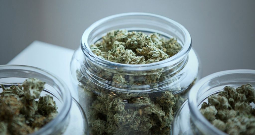 SPECIAL REPORT: Trump Lifts 70-Year Ban On Natural Pain Breakthrough