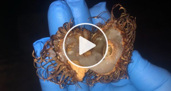 Oncologists Are Freaking Out After True Cause Of Cancer Released