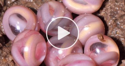 Metformin Users: The Truth Behind What Big Pharma Has Been Hiding From You