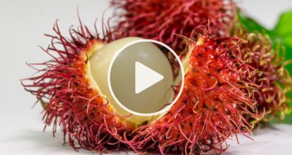 Alzheimer's-Like Memory Loss Linked To These Common Causes