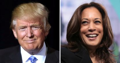 Would you vote for President Trump if he ran again in 2024?