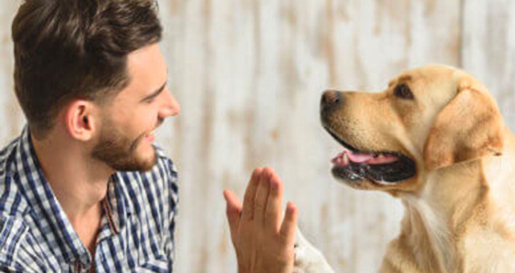 Enroll Your Pet In Health Insurance Today