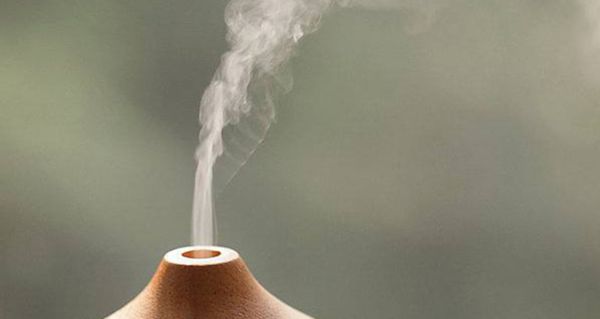 How To Easily Kill All Indoor Odor, Mold, And Bacteria — Without Lifting A Finger 