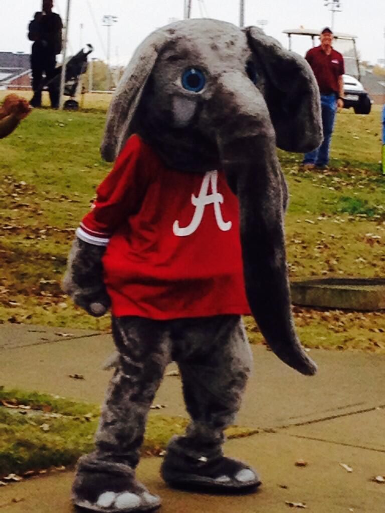 JHintUA: Big Al at UA Couch to 5K ...