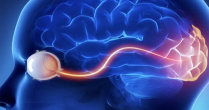 Do THIS 6-Second Trick Tonight To Restore Perfect Eyesight Tomorrow