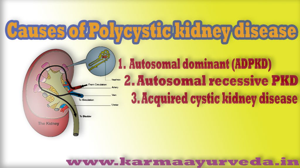 to s creatinine reduce how level Ayurveda's karma  LockerDome Hangs