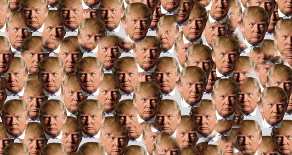 Do you plan to vote for Trump in 2020?