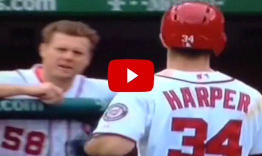 memes bryce harper jonathan papelbon dugout brawl! fe06f7c37624b6eea5b7bc50af6a18c1032b693e061173afcbee91f38364a287_large memes bryce harper jonathan papelbon dugout brawl!